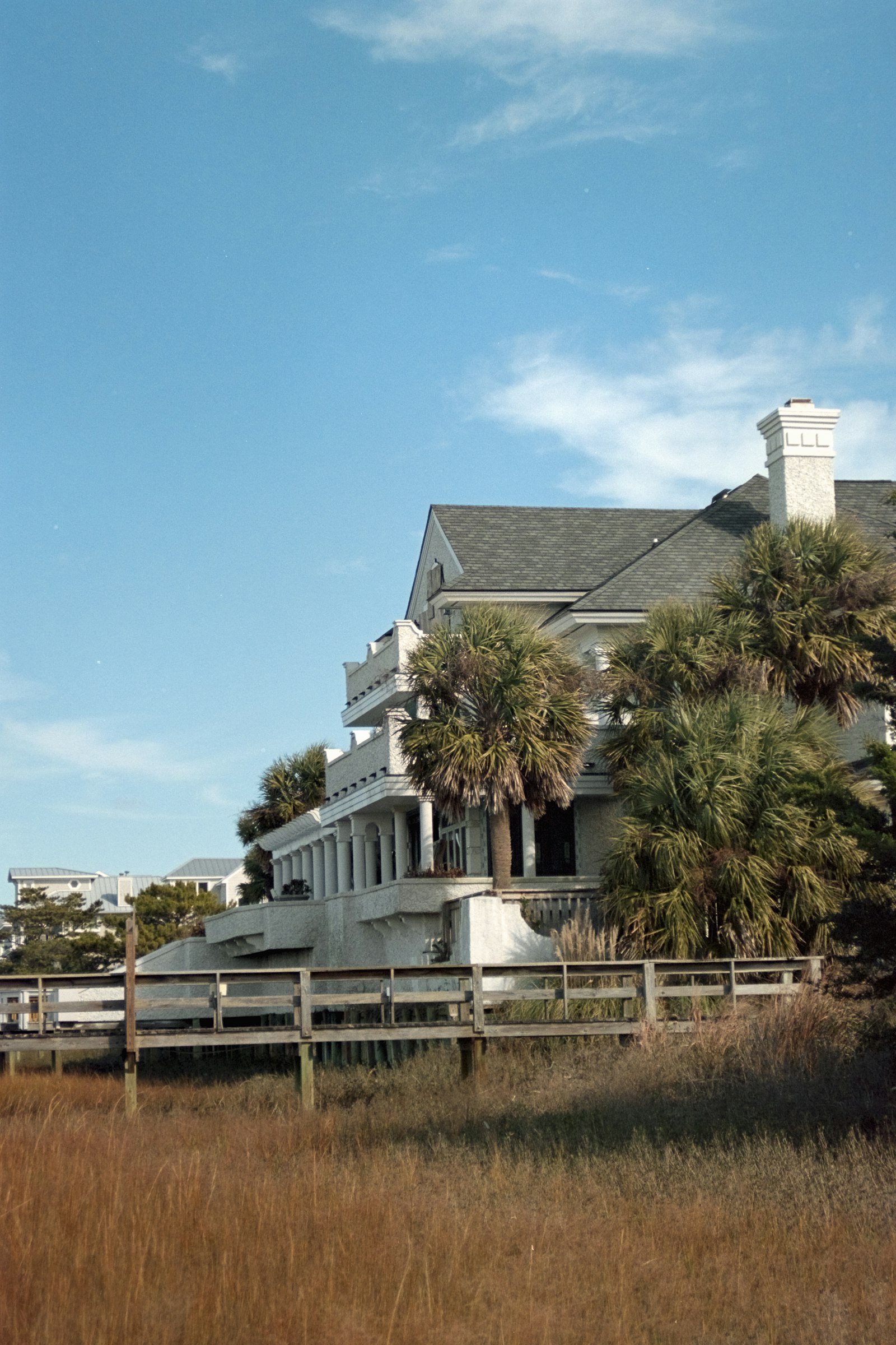 Coastal Palm Beach estate framed by tall palm trees